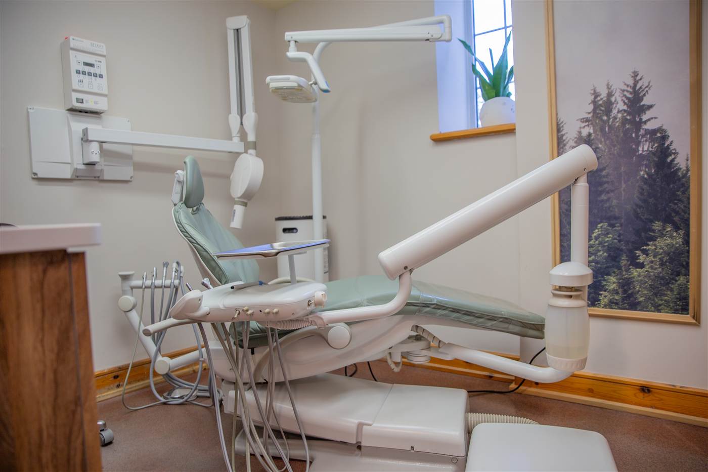 A bright operatory with a sage-green dental chair